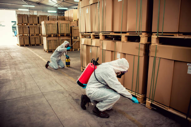 Wildlife Control Services in Palm Beach, FL