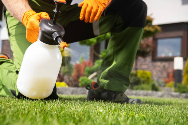 Best Wasp Removal Services  in Palm Beach, FL