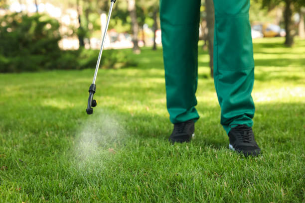 Best Commercial Pest Control Services  in Palm Beach, FL