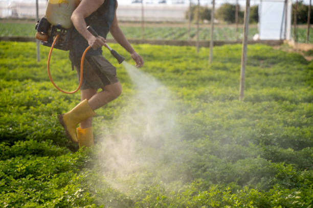 Best Wildlife Control Services  in Palm Beach, FL