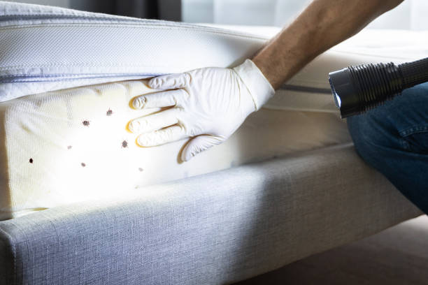 Palm Beach, FL Pest Control Company